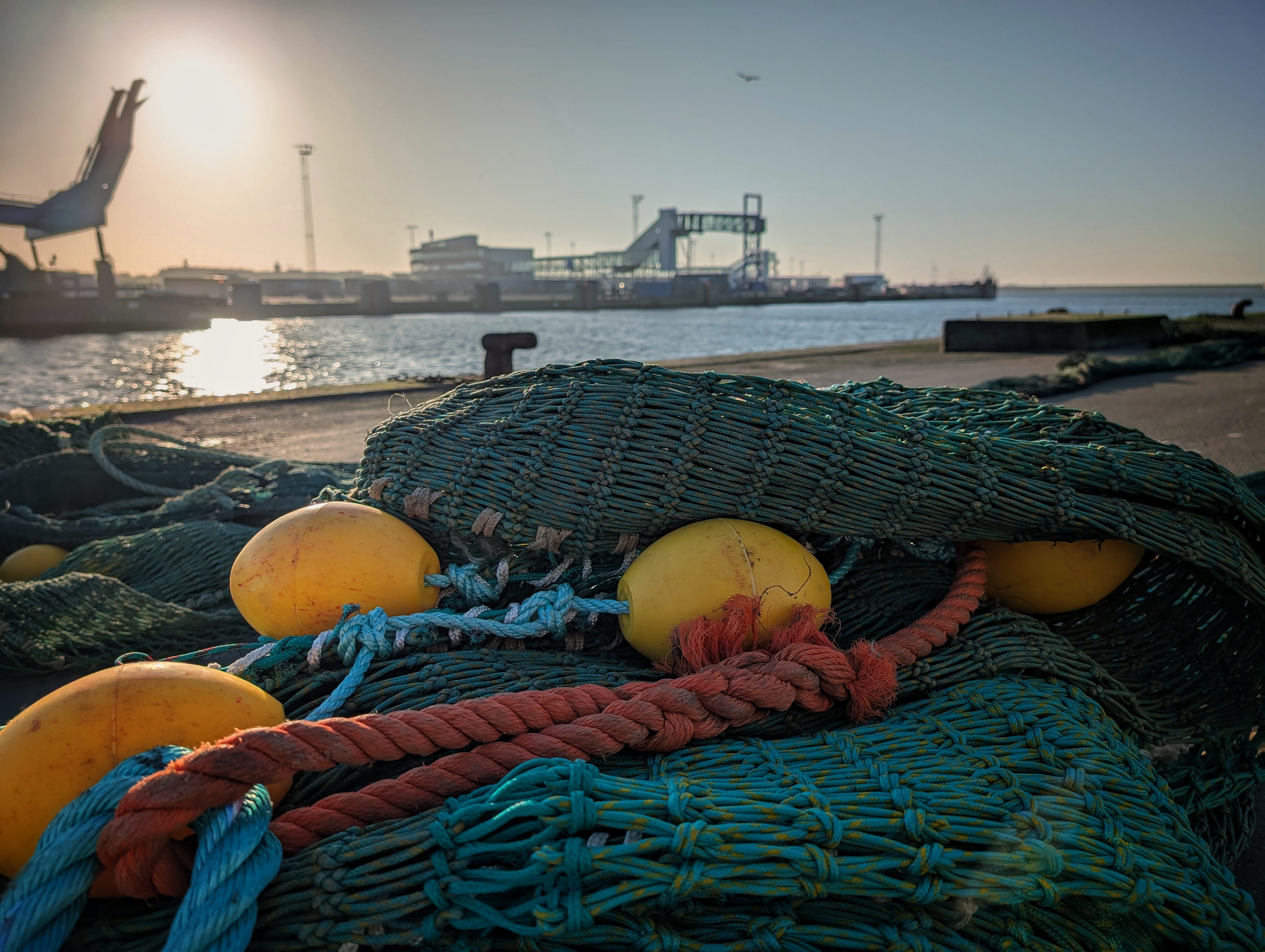 Caught in Colour.jpeg